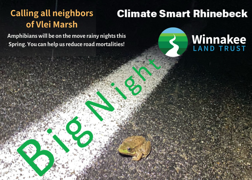 BIG NIGHT:  Help us, help amphibians cross the road each spring