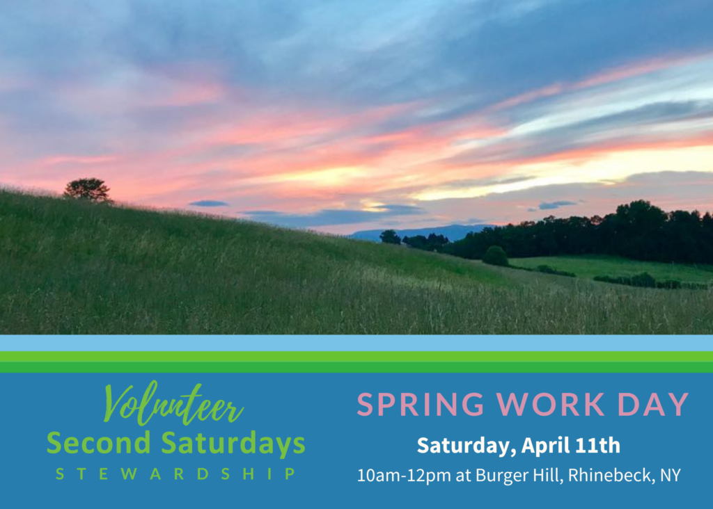 Work Day at Burger Hill