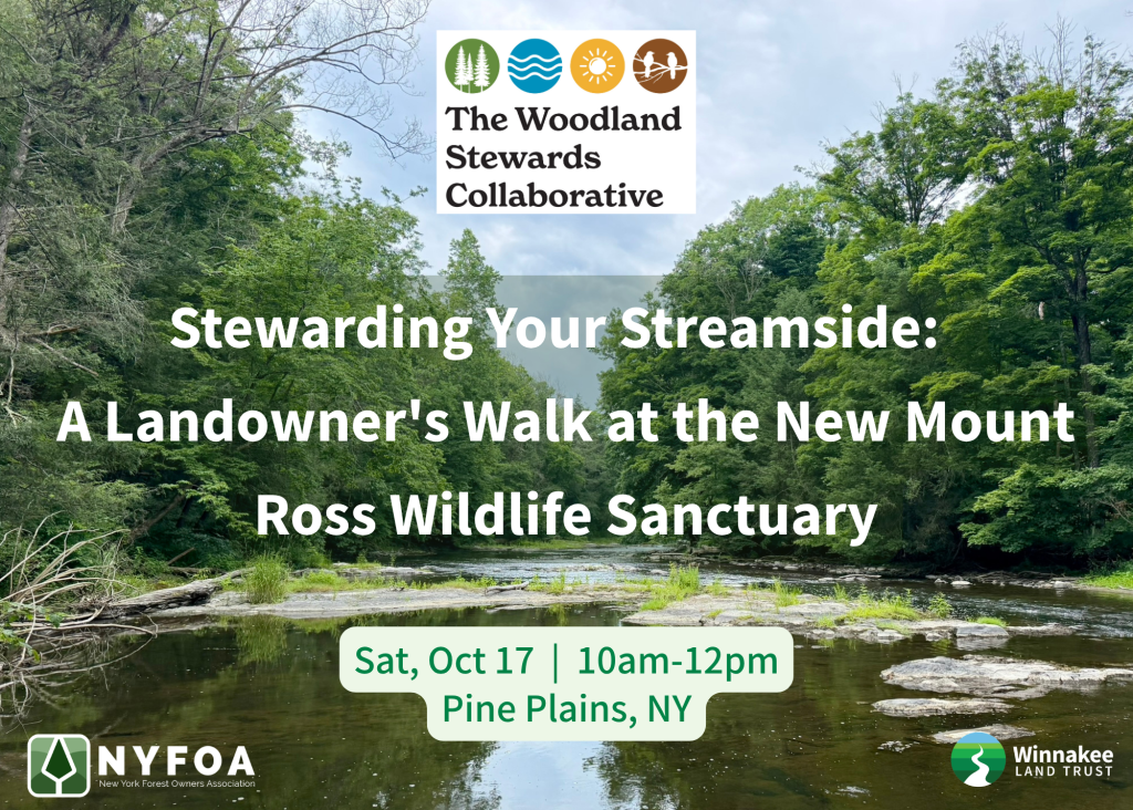 Stewarding Your Streamside: A Landowner’s Walk at the New Mount Ross Wildlife Sanctuary