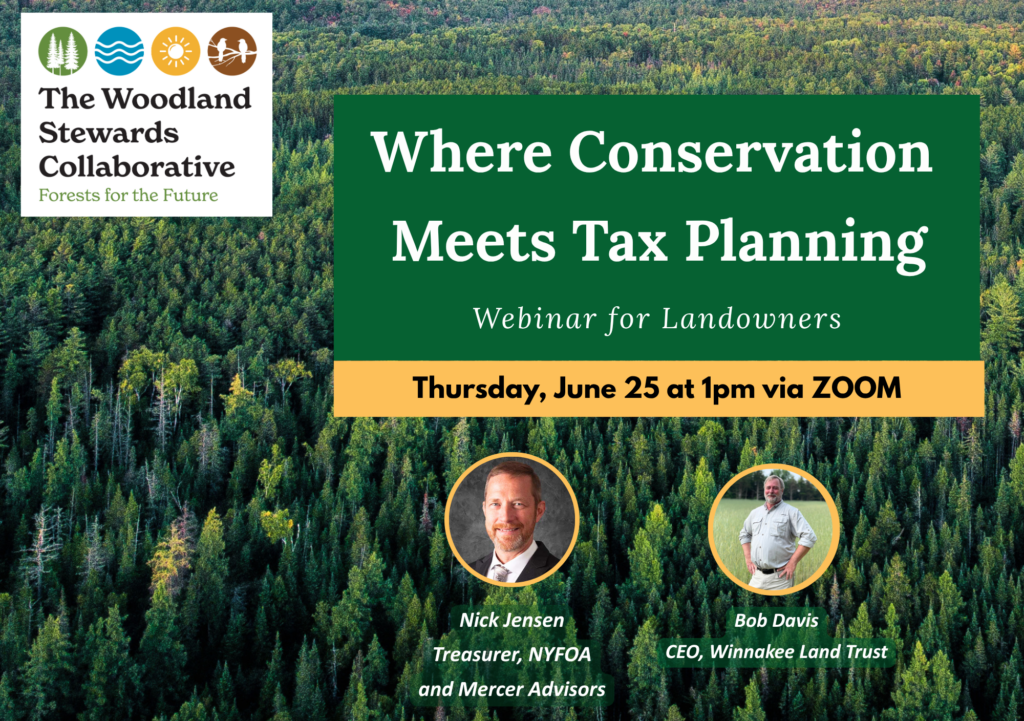 Where Conservation Meets Tax Planning