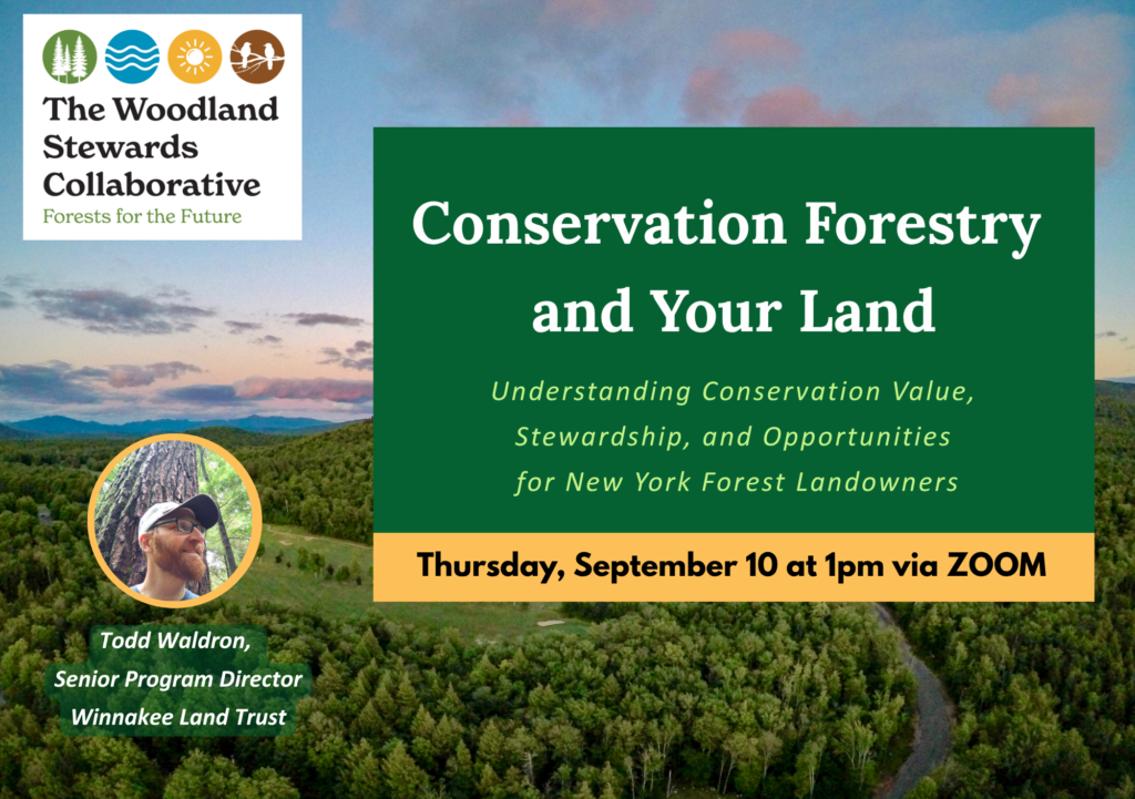 Conservation Forestry and Your Land:
