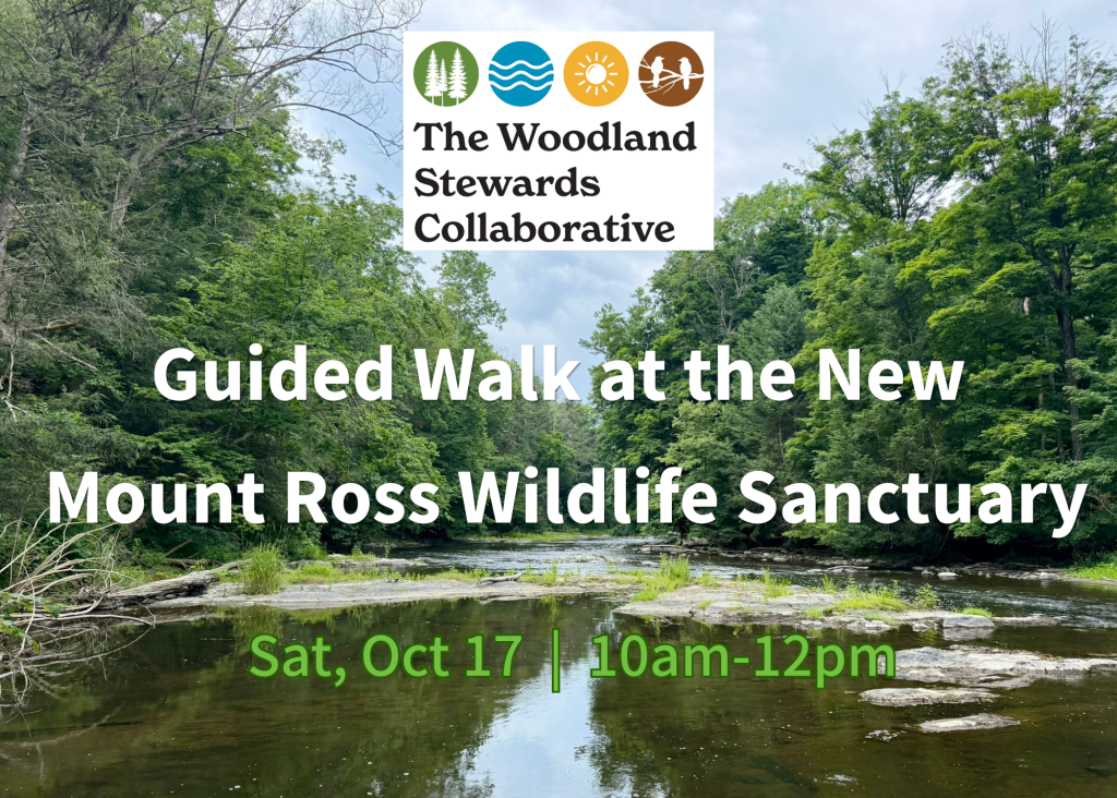Guided Walk at Mount Ross Wildlife Sanctuary